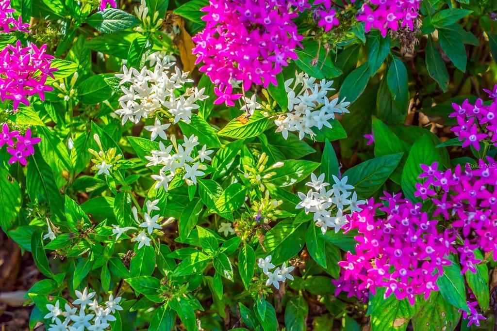 For Sale: $830,000 (3 beds, 3 baths, 2774 Square Feet)