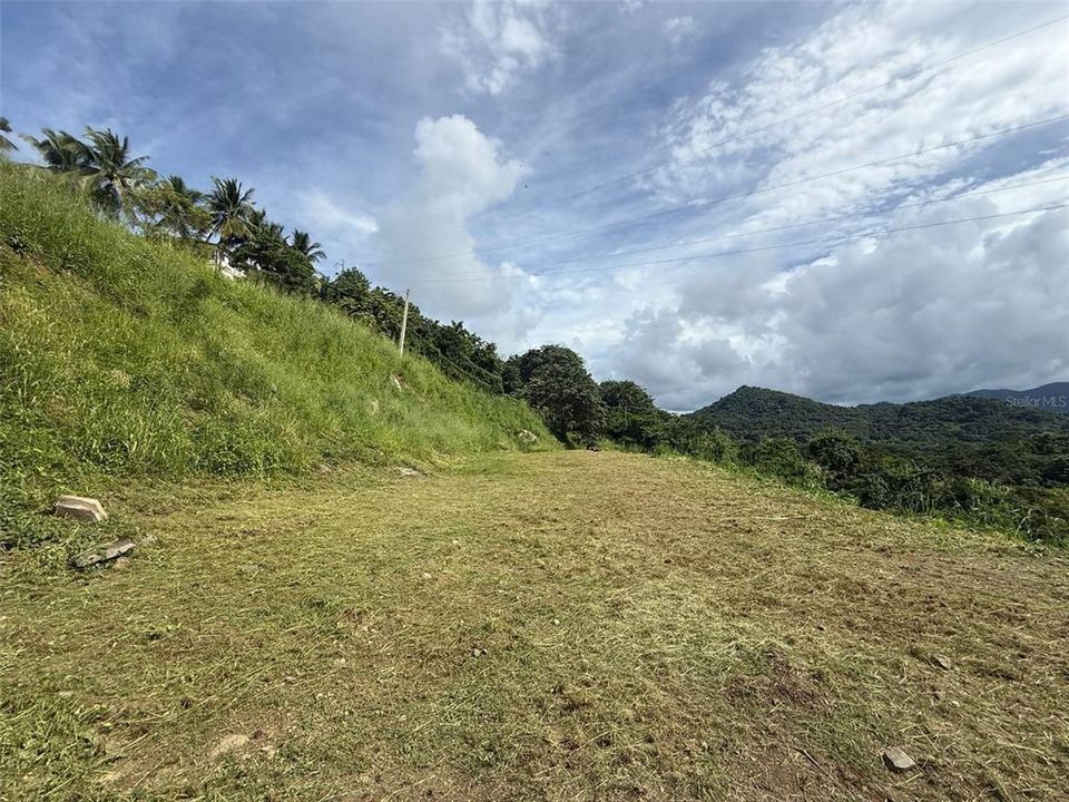 For Sale: $385,000 (0.57 acres)
