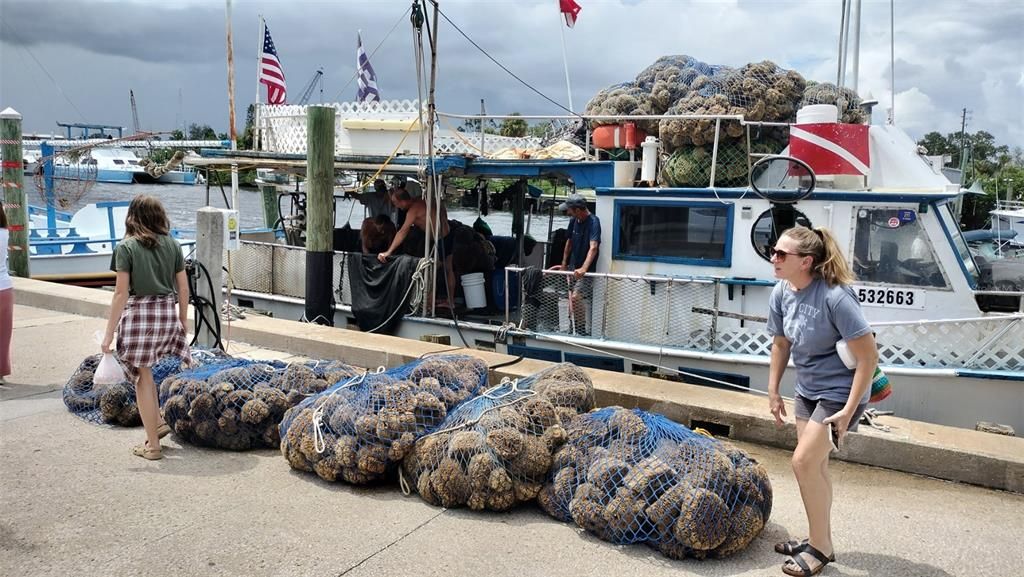 В аренду: $1,450 (2 спален, 2 ванн, 1114 Квадратных фут)