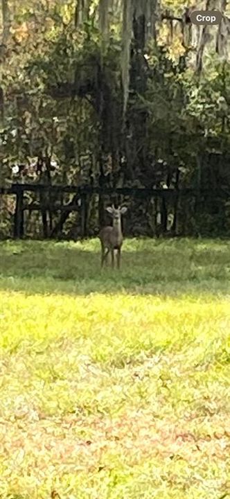 For Sale: $1,980,000 (18.00 acres)