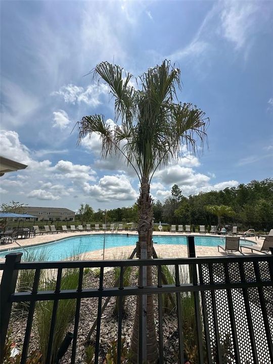 For Rent: $1,600 (2 beds, 2 baths, 1219 Square Feet)