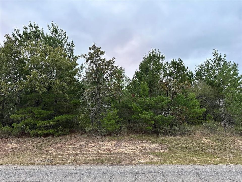 待售: $8,000 (0.26 acres)