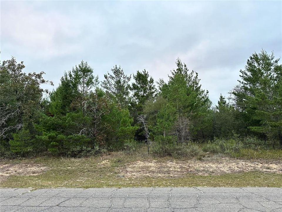 待售: $8,000 (0.26 acres)