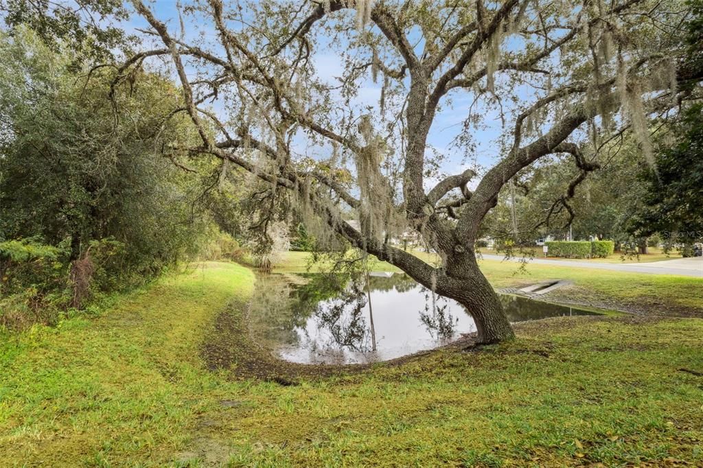 待售: $259,900 (2 贝兹, 2 浴室, 1522 平方英尺)