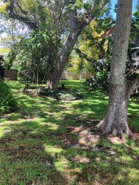 For Rent: $2,000 (2 beds, 1 baths, 1087 Square Feet)