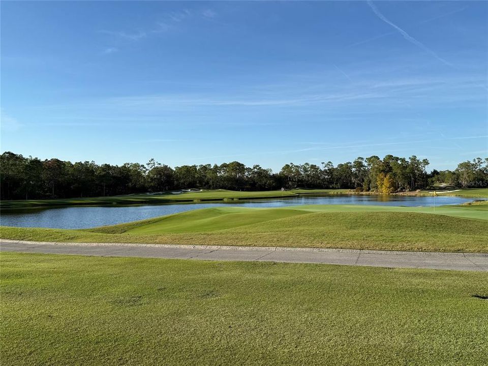 待售: $1,500,000 (1.16 acres)