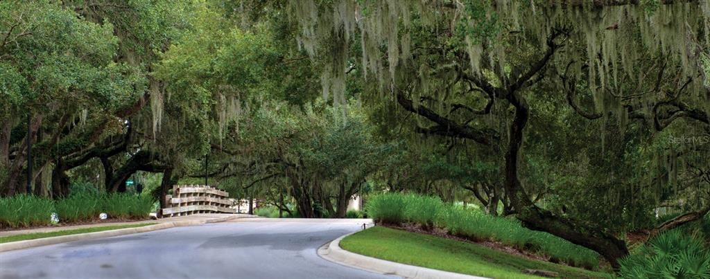 待售: $1,500,000 (1.16 acres)