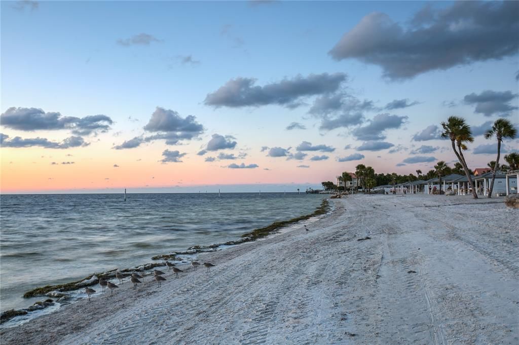 В аренду: $1,200 (1 спален, 1 ванн, 728 Квадратных фут)