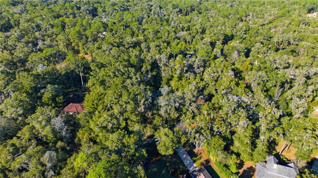 For Sale: $449,000 (3 beds, 2 baths, 1921 Square Feet)