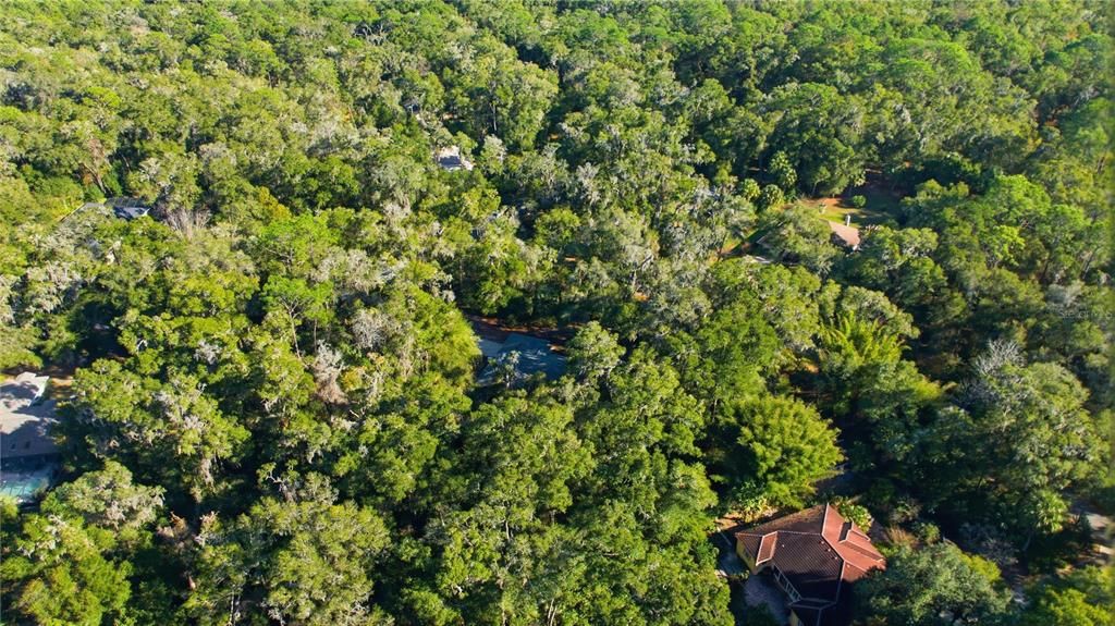 For Sale: $449,000 (3 beds, 2 baths, 1921 Square Feet)