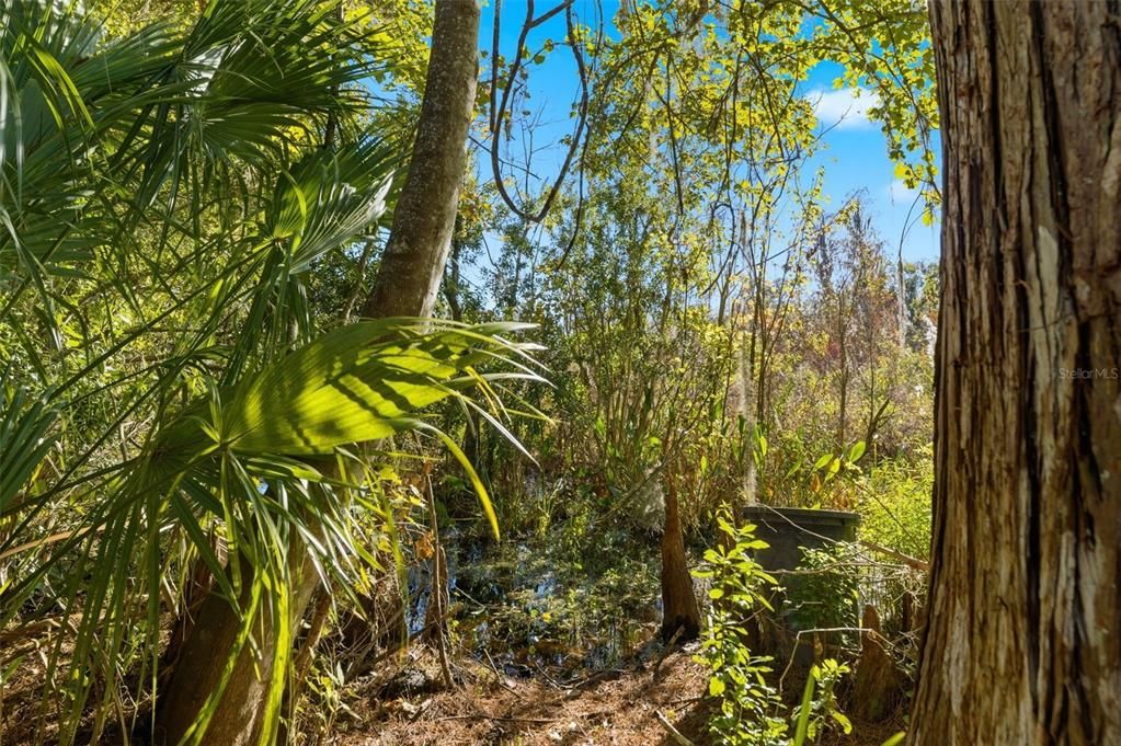 En Venta: $69,995 (0.38 acres)