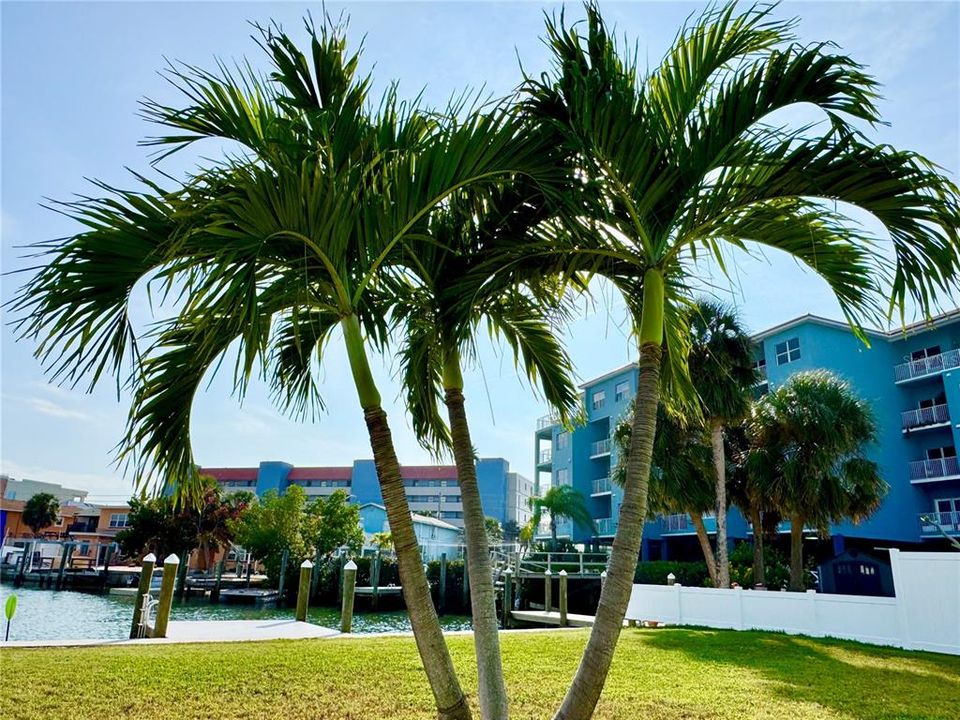 В аренду: $2,350 (2 спален, 1 ванн, 800 Квадратных фут)