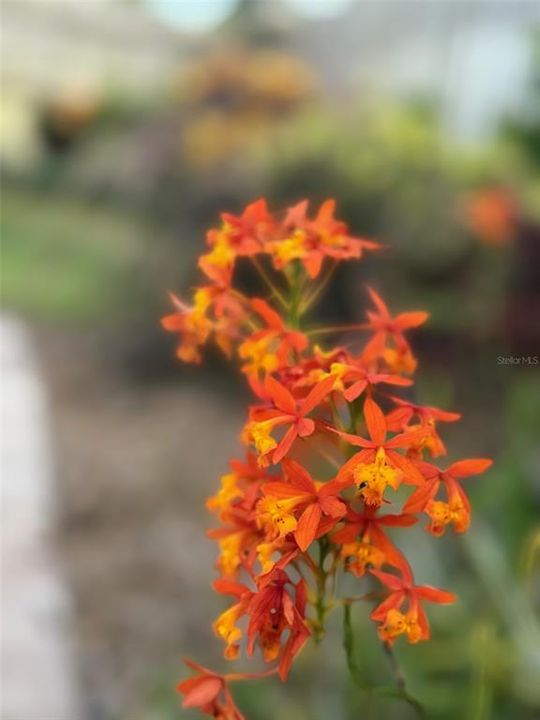 For Sale: $650,000 (2 beds, 2 baths, 1186 Square Feet)