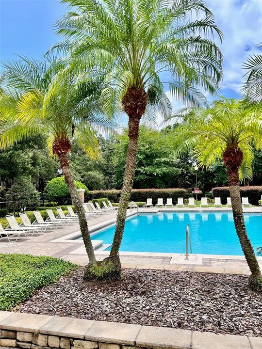 For Rent: $2,350 (3 beds, 2 baths, 1665 Square Feet)