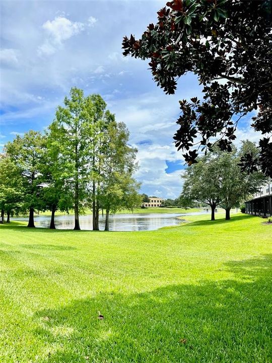 For Rent: $2,350 (3 beds, 2 baths, 1665 Square Feet)