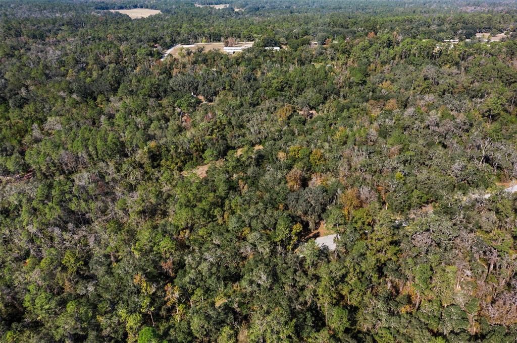 待售: $405,000 (3 贝兹, 2 浴室, 1960 平方英尺)