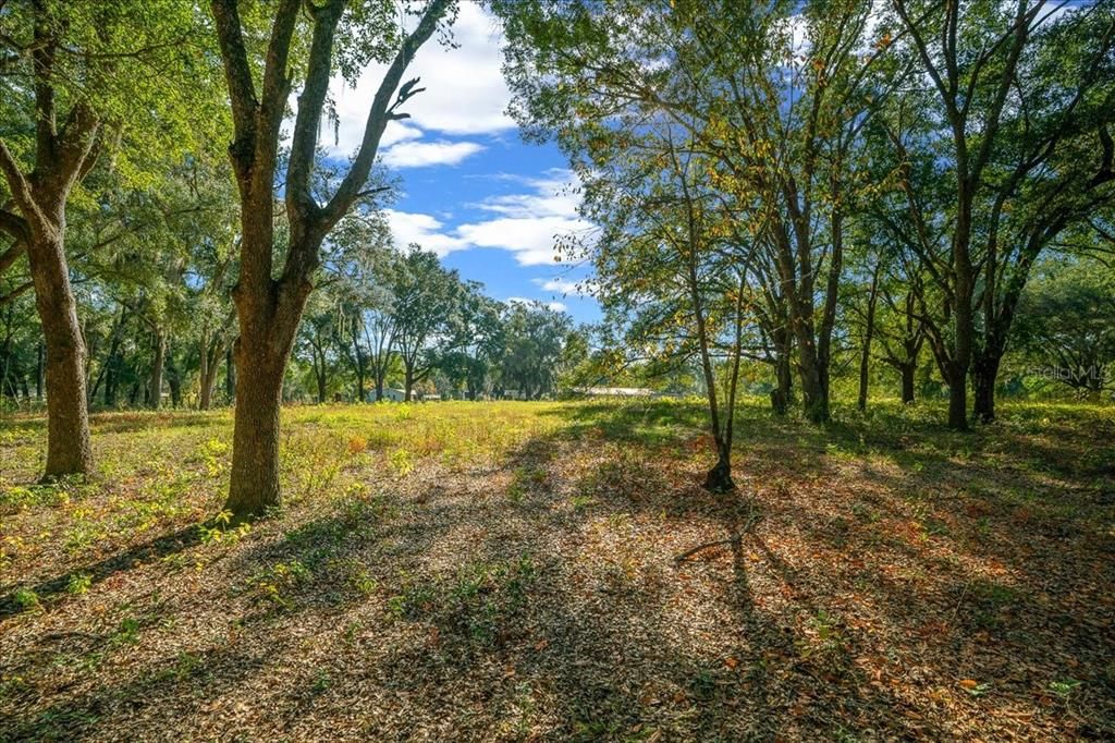 En Venta: $399,000 (5 camas, 3 baños, 3685 Pies cuadrados)