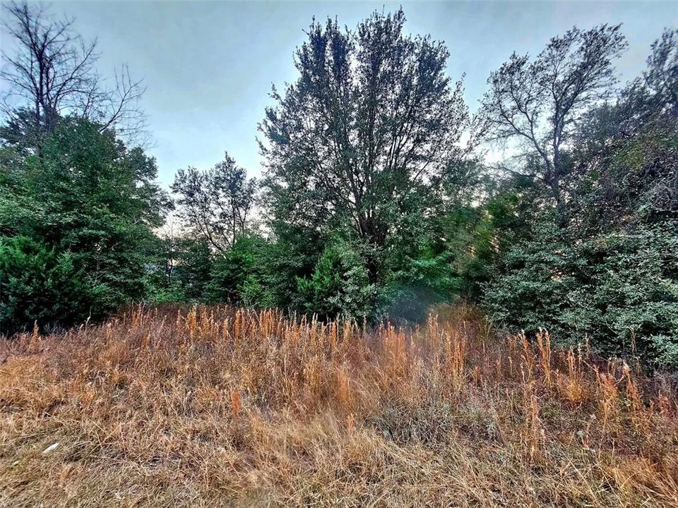 待售: $50,000 (1.04 acres)