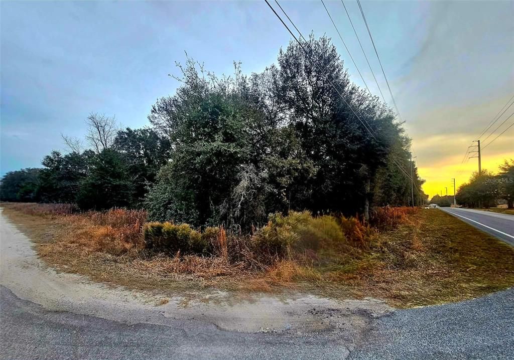 待售: $50,000 (1.04 acres)