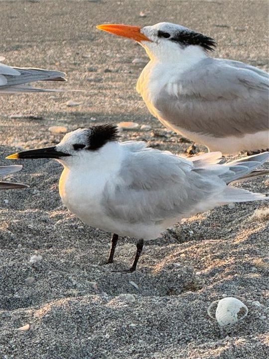 For Sale: $435,000 (2 beds, 2 baths, 1016 Square Feet)