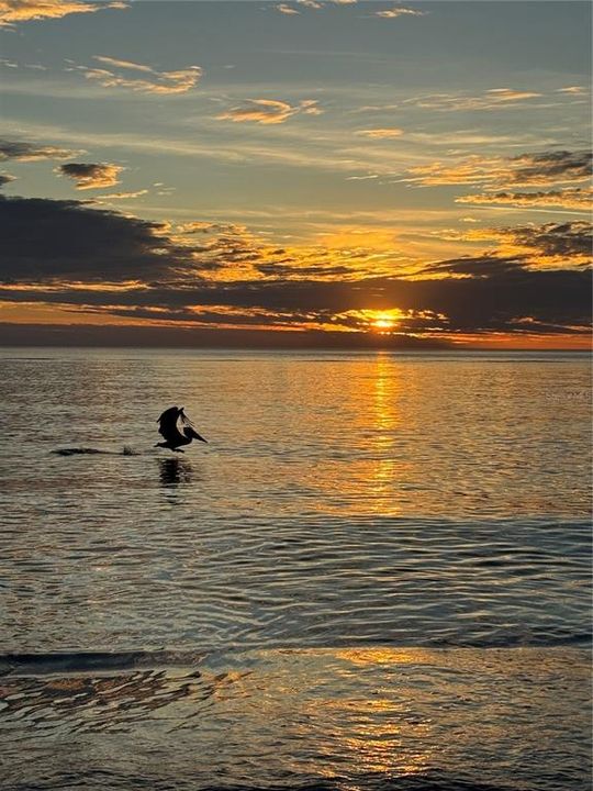 For Sale: $435,000 (2 beds, 2 baths, 1016 Square Feet)