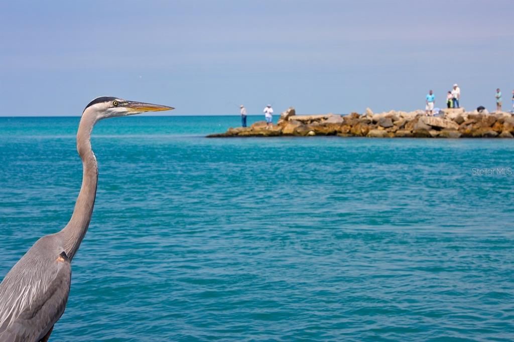 For Sale: $435,000 (2 beds, 2 baths, 1016 Square Feet)