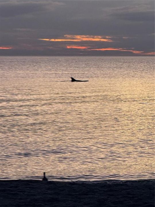 For Sale: $435,000 (2 beds, 2 baths, 1016 Square Feet)