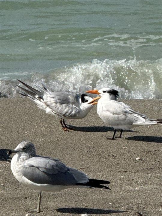 For Sale: $435,000 (2 beds, 2 baths, 1016 Square Feet)