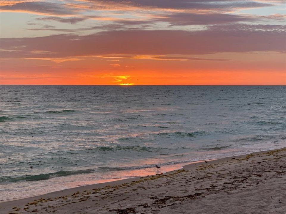 На продажу: $6,488,000 (4 спален, 4 ванн, 3554 Квадратных фут)