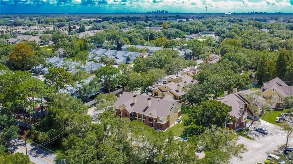 出租: $1,750 (2 贝兹, 2 浴室, 918 平方英尺)