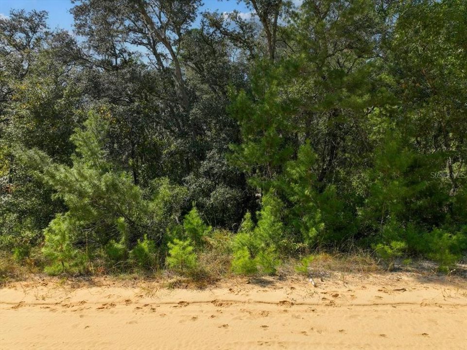 На продажу: $8,900 (0.22 acres)