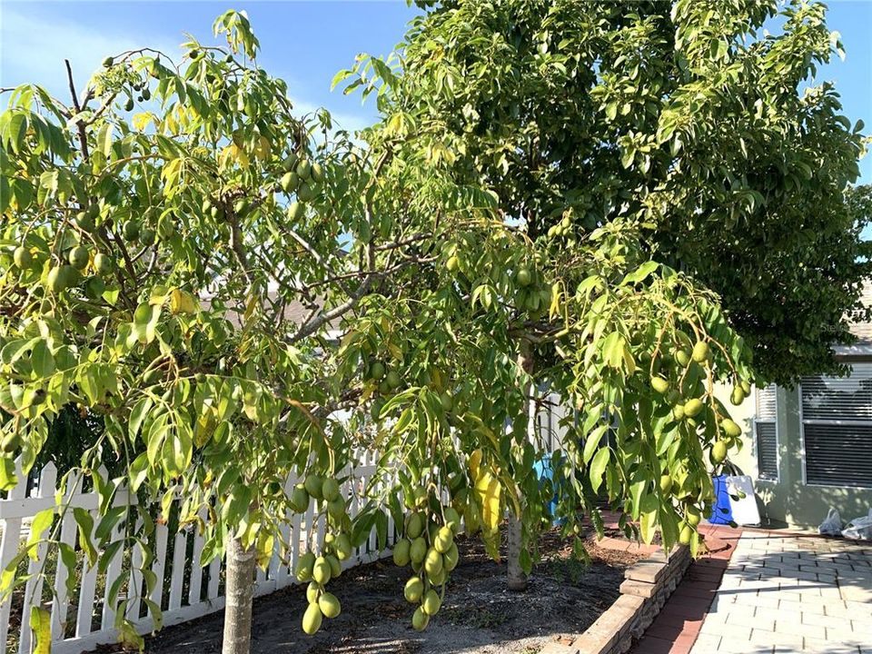 For Sale: $389,900 (3 beds, 2 baths, 1754 Square Feet)