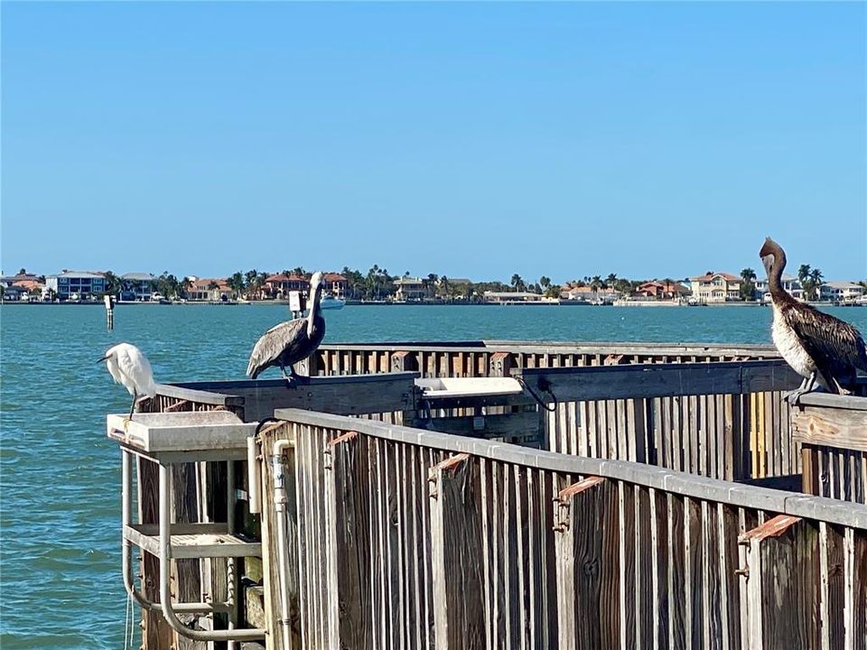 待售: $499,000 (3 贝兹, 2 浴室, 1239 平方英尺)