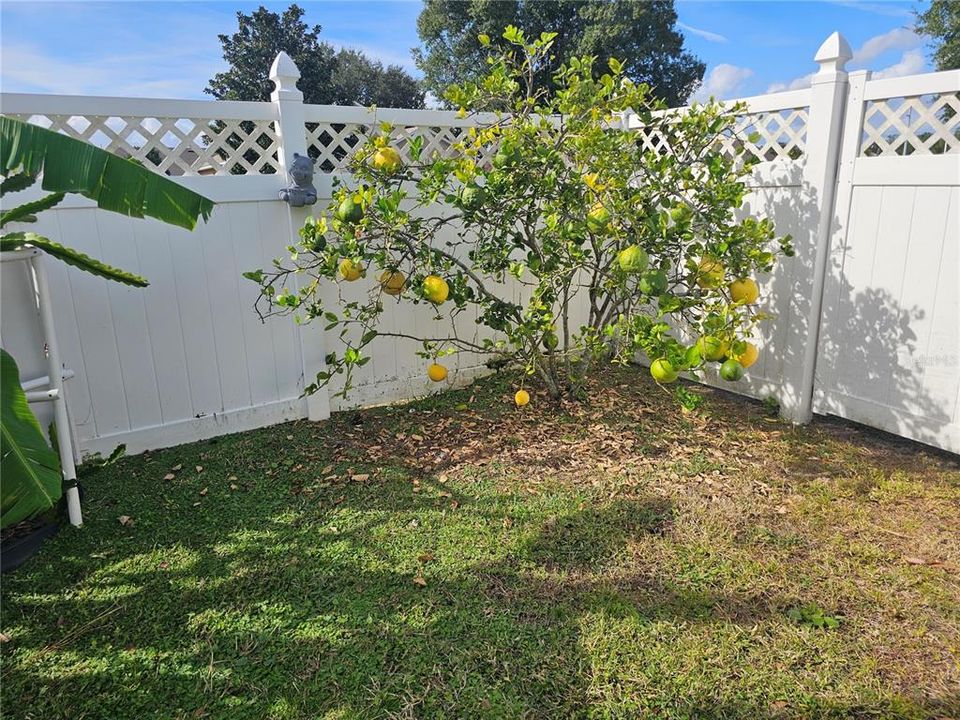 На продажу: $495,000 (4 спален, 2 ванн, 1822 Квадратных фут)