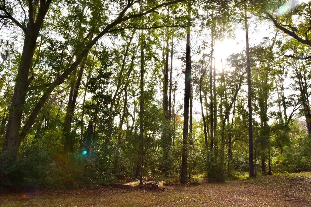 На продажу: $724,999 (3 спален, 2 ванн, 2600 Квадратных фут)