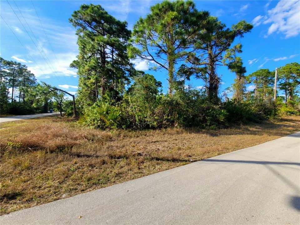 For Sale: $25,000 (0.32 acres)