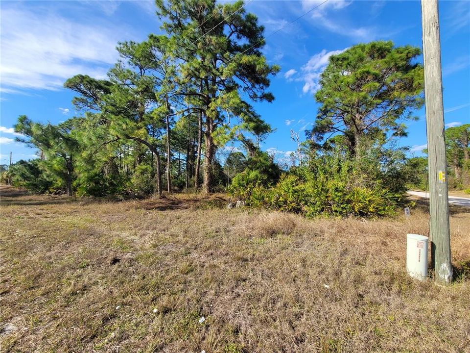 For Sale: $25,000 (0.32 acres)