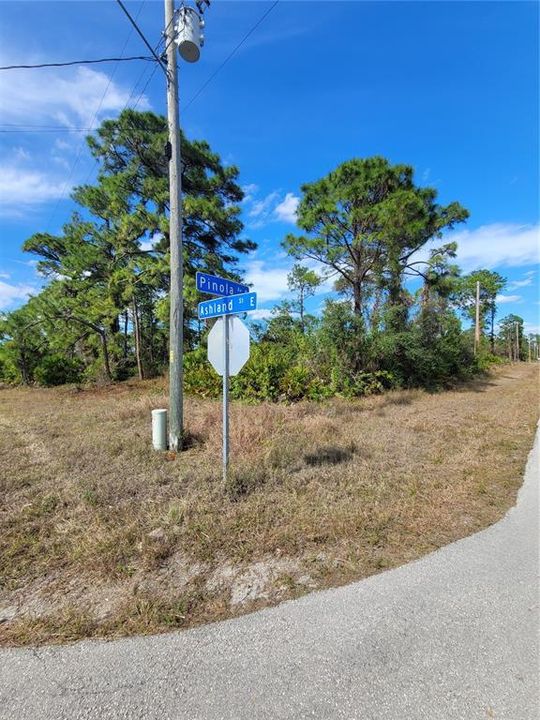 For Sale: $25,000 (0.32 acres)