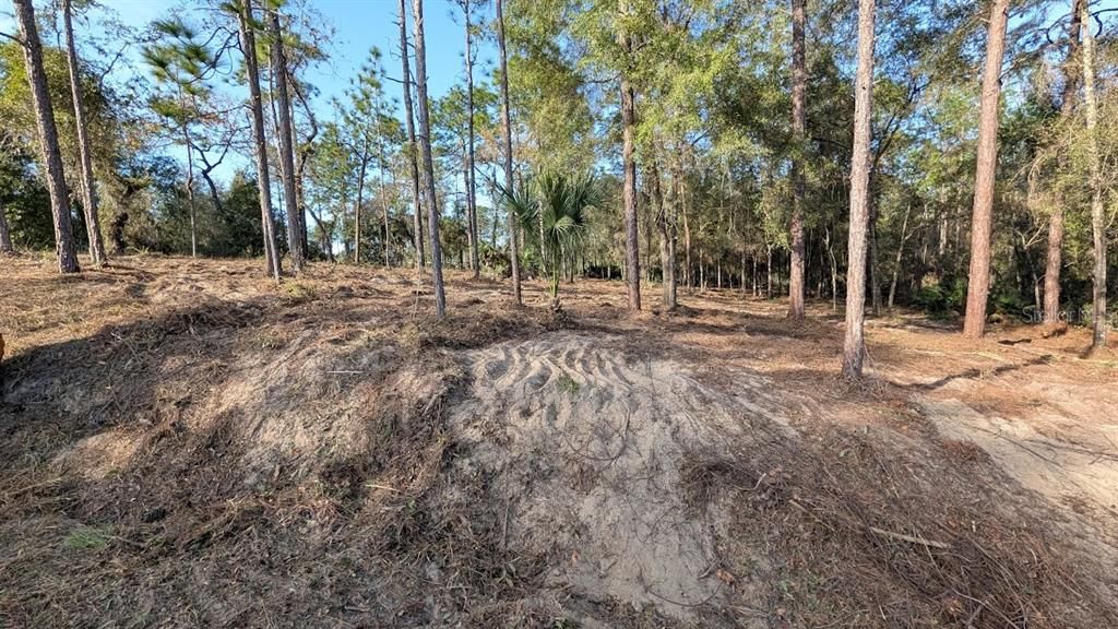 待售: $72,800 (1.05 acres)