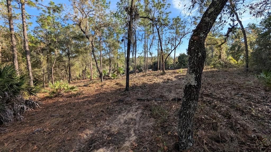 待售: $72,800 (1.05 acres)