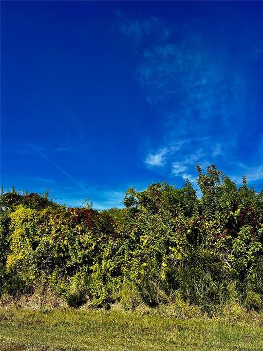 En Venta: $55,000 (0.46 acres)