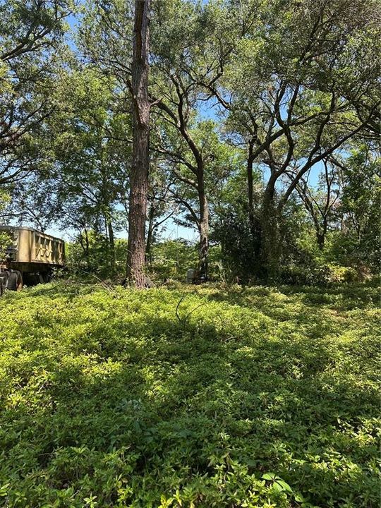 На продажу: $250,000 (2 спален, 2 ванн, 1782 Квадратных фут)