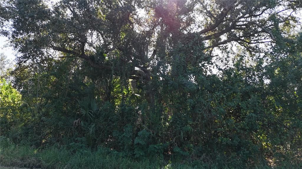 En Venta: $16,750 (0.23 acres)