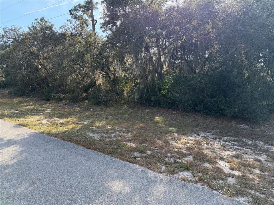 For Sale: $40,000 (1.00 acres)