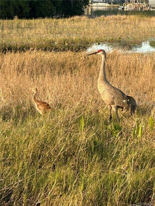 На продажу: $330,000 (2 спален, 2 ванн, 1604 Квадратных фут)