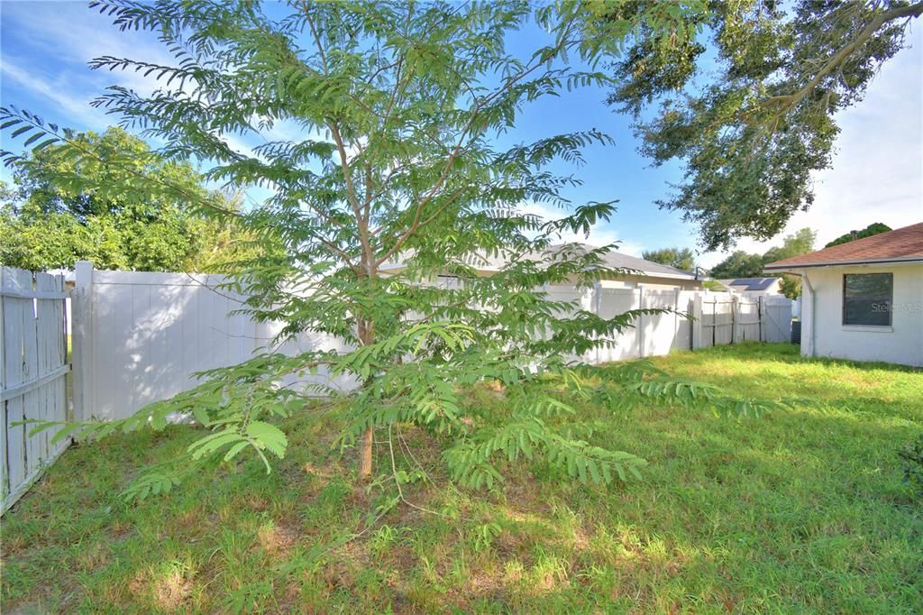 En Venta: $225,000 (2 camas, 2 baños, 1391 Pies cuadrados)