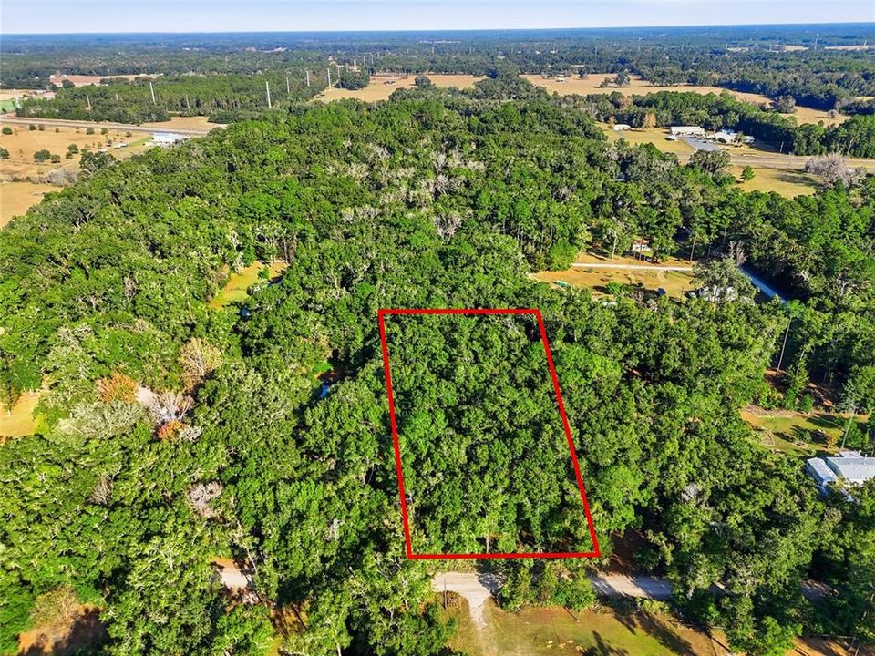 For Sale: $35,000 (1.25 acres)