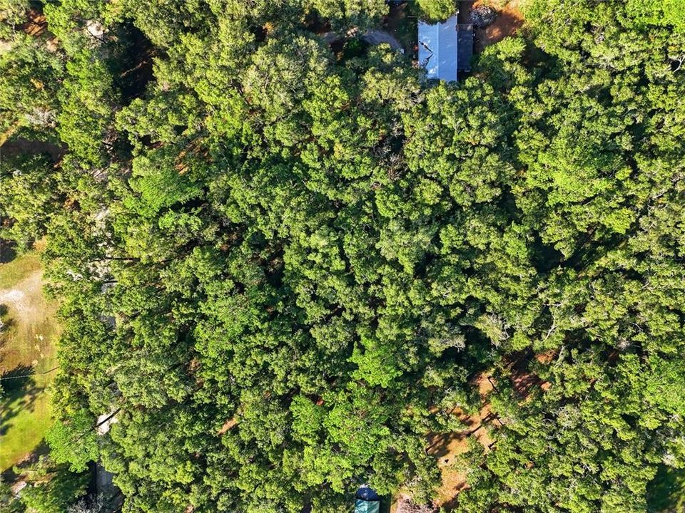 For Sale: $35,000 (1.25 acres)