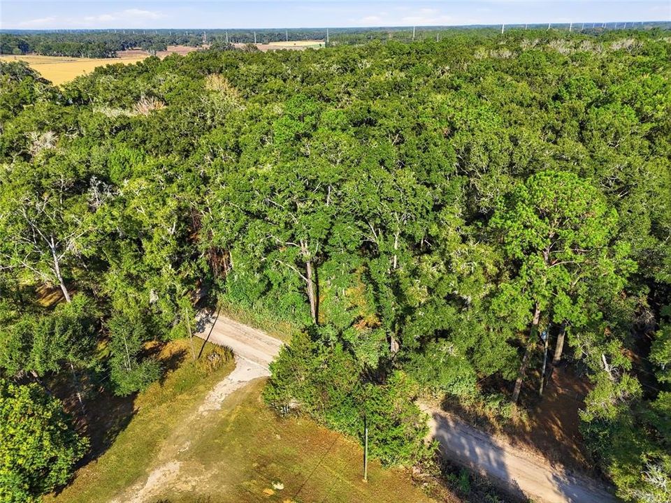 For Sale: $35,000 (1.25 acres)