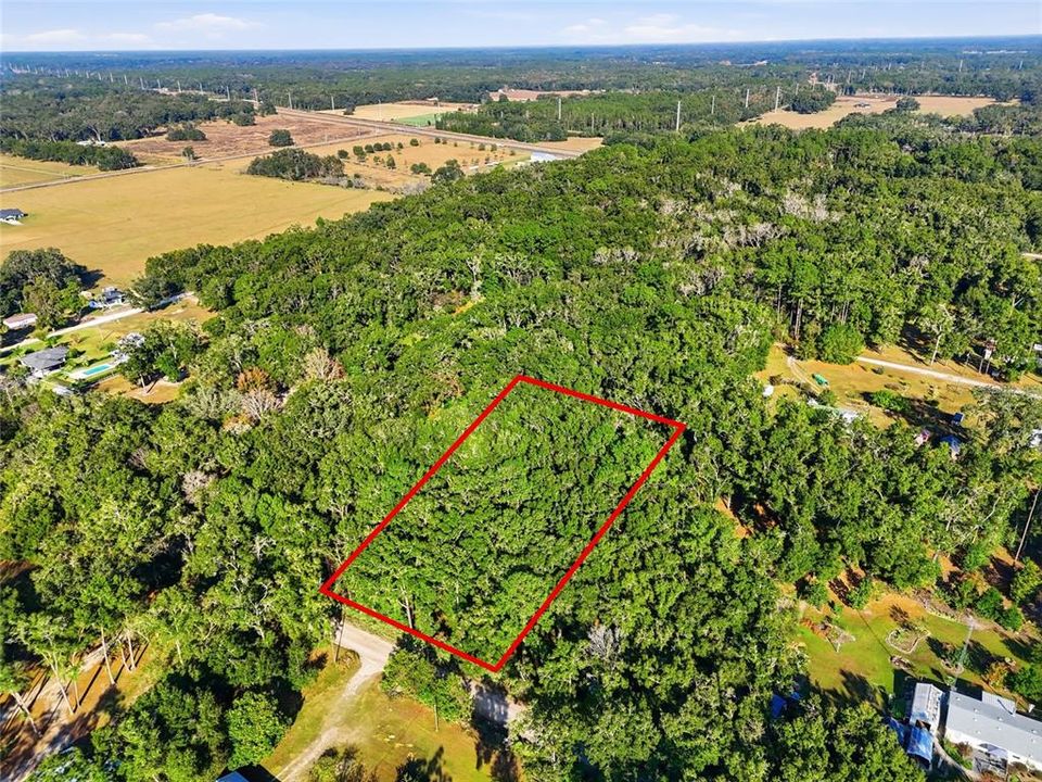 For Sale: $35,000 (1.25 acres)